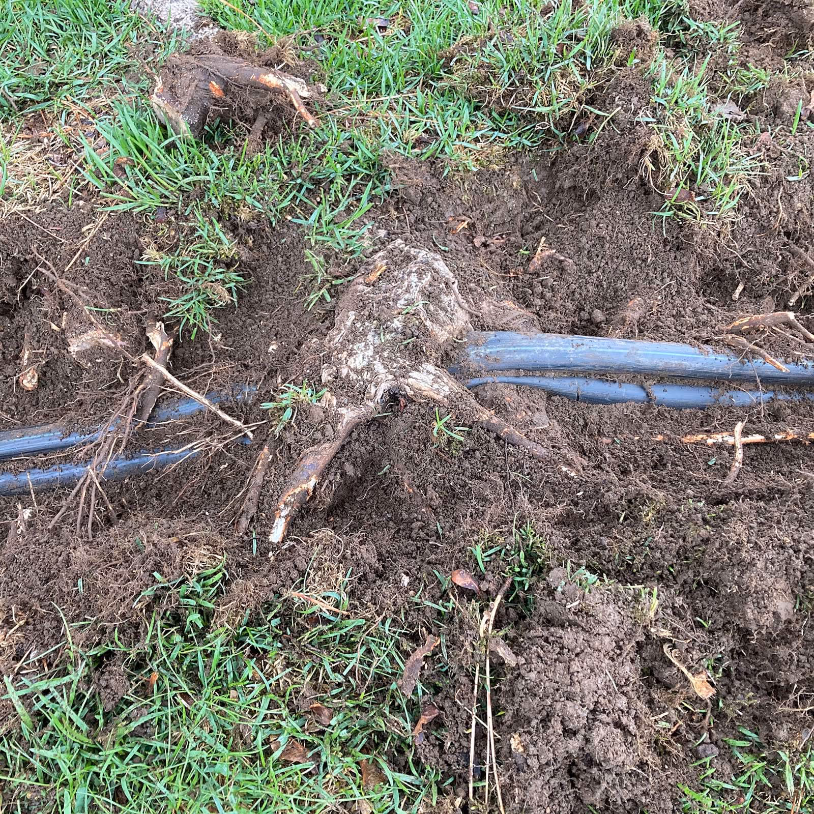 Sprinkler repair on leaking head in Liberty Lake
